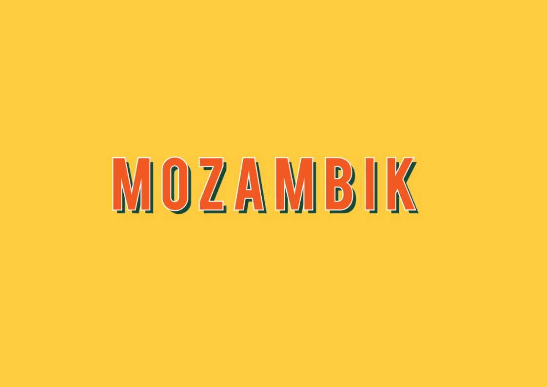 How Much Does It Cost To Start a Mozambik Franchise In South Africa
